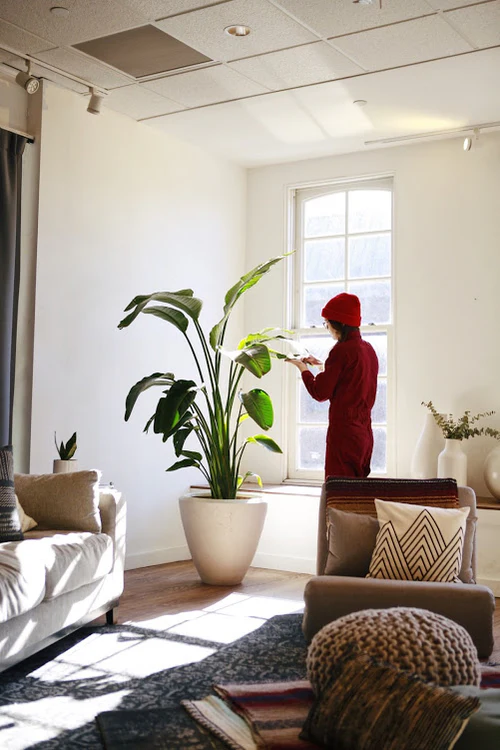 Bring Your Home to Life